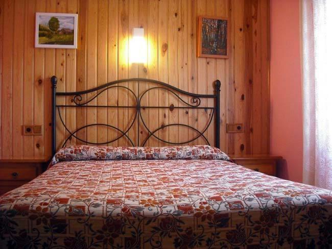 Hostal Pirineos Sarvise Room photo